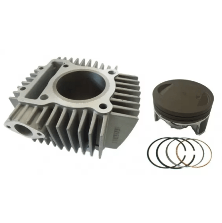 Cilindro completo con pistón zs190